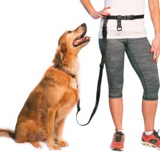 Training Leashes