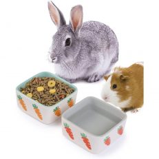 Bowls & Feeding Accessories