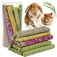 Treats & Chews