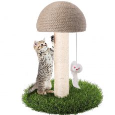 Scratching Posts & Furniture