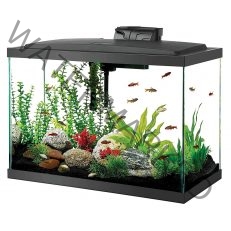 Aquariums