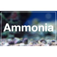 Ammonia & Nitrate Treatments
