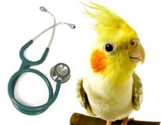 Health