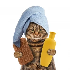 Shampoos