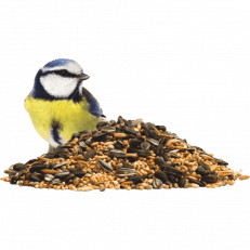 Bird Food