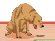 Digestion & Stool Disorders