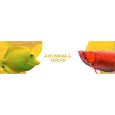 Arowana & Oscar
