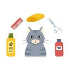 Coat Grooming Supplies