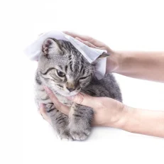Wipes