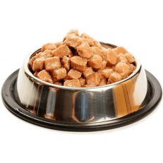 Wet Food