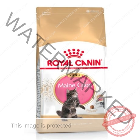 Royal Canin Feline Breed Nutrition Maine Coon Kitten 2 KG