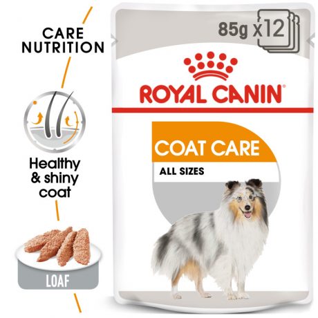 Royal Canin Canine Care Nutrition Coat Care (WET FOOD - Pouches)