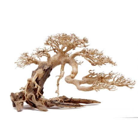 SV Aquarium Deco Bonsai Wood - Medium Large / 35x25x18CM / box