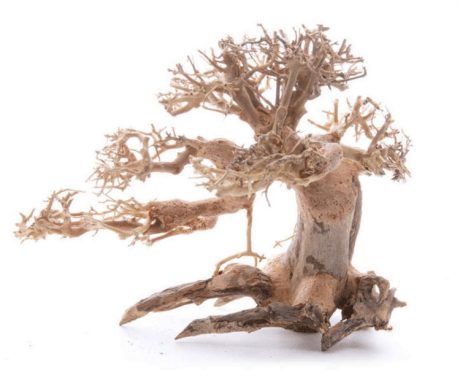 SV Aquarium Deco Bonsai Wood - Medium Small / 25x20x15CM / box