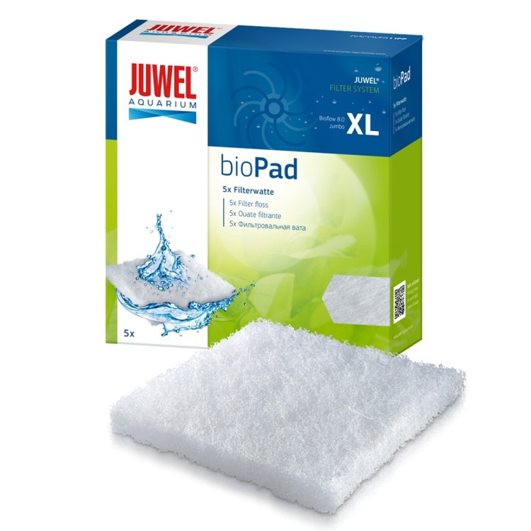 XL