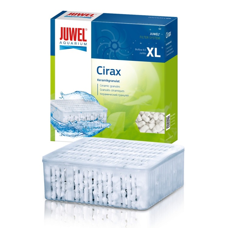 XL