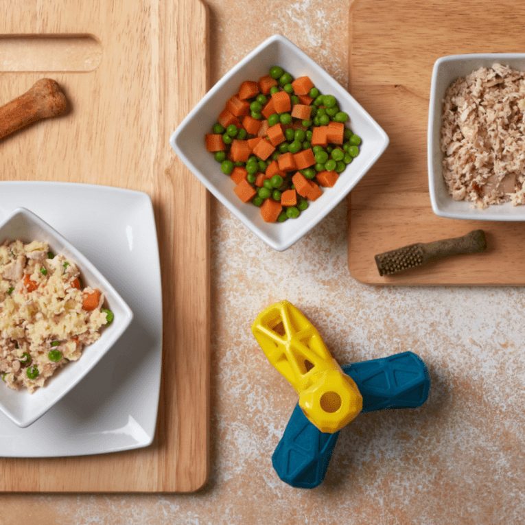 download - 2023-11-05T234056.319 (1)