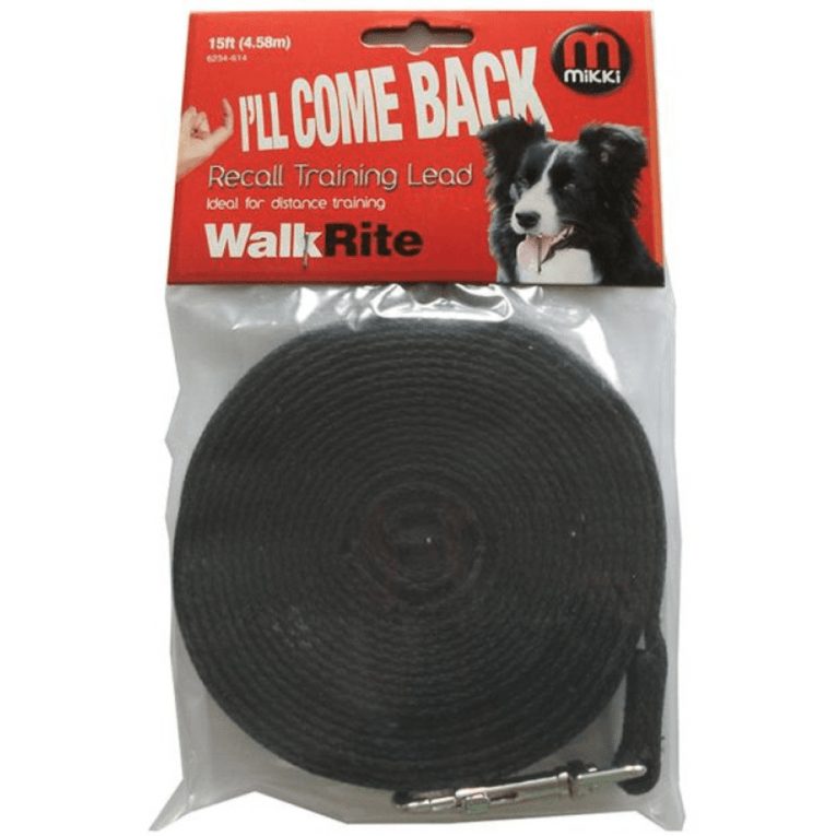 download - 2023-11-06T004449.806 (1)