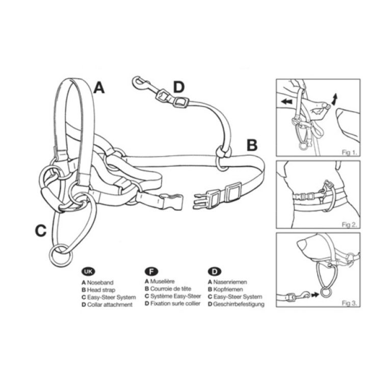 download - 2023-11-06T035540.416 (1)