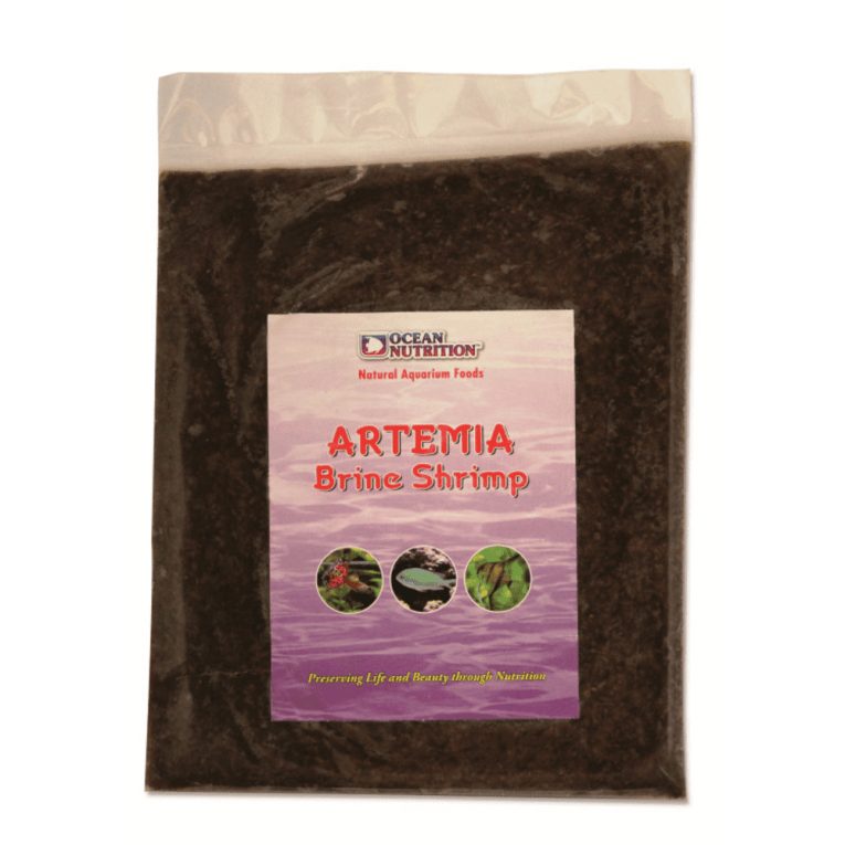 download - 2023-11-06T042319.826 (1)