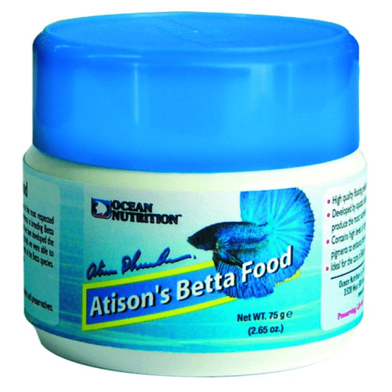 download - 2023-11-06T043128.974 (1)