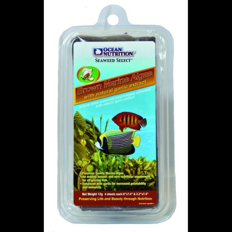 download - 2023-11-06T050802.217 (1)