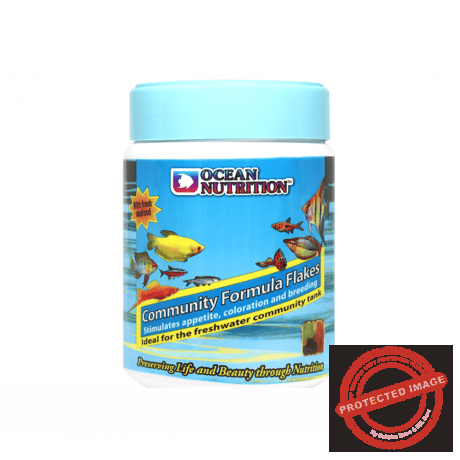 Ocean Nutrition Community Formula Flakes 71g
