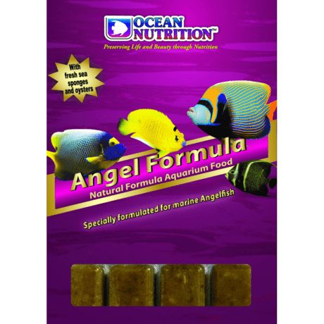 Ocean Nutrition Frozen Angel Formula 100g