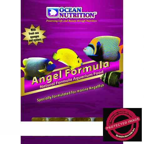 Ocean Nutrition Frozen Angel Formula 100g