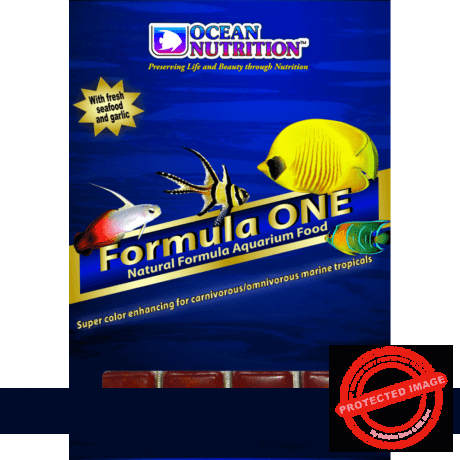 Ocean Nutrition Frozen Formula One 100g