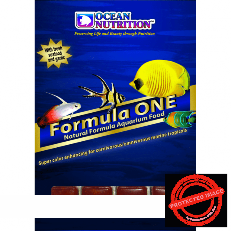 download - 2023-11-07T191735.930 (1)