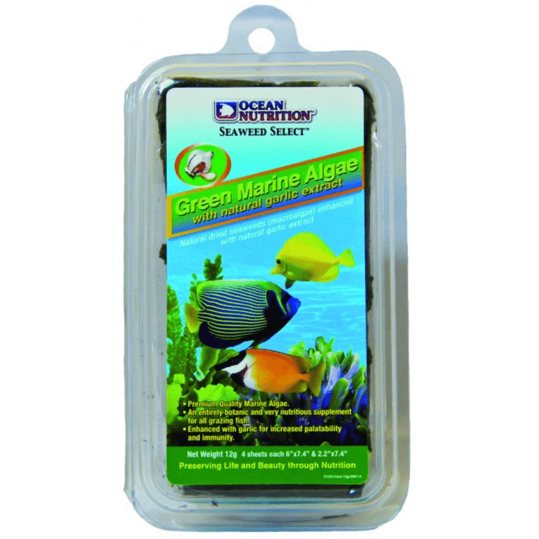 download - 2023-11-07T193027.170 (1)