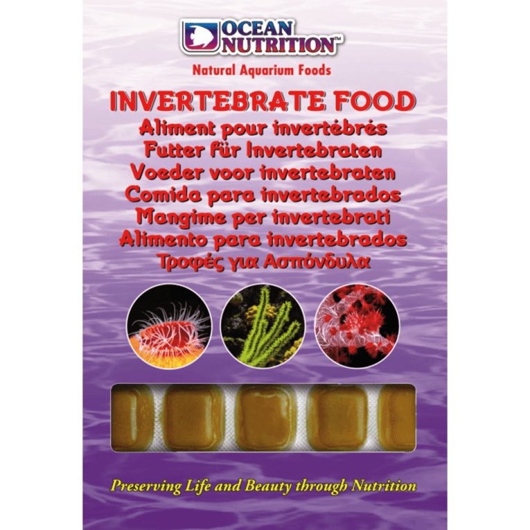 download - 2023-11-07T193949.246 (1)