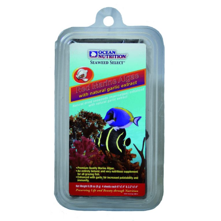 download - 2023-11-07T200749.599 (1)