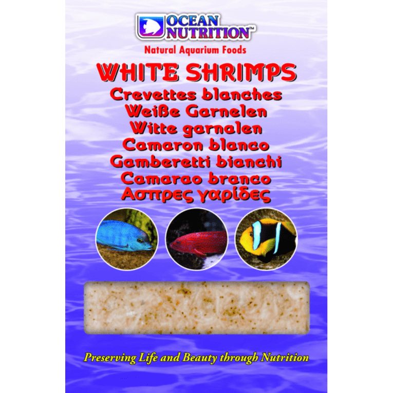 download - 2023-11-07T204400.837 (1)