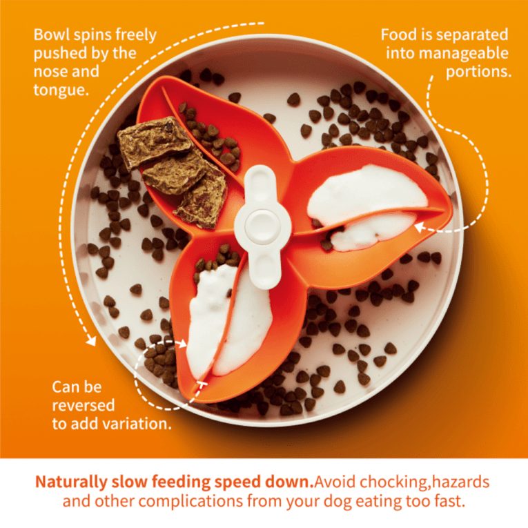 download - 2023-11-07T224657.460 (1)