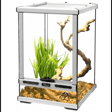 Terratlantis Glass Terrarium 30 x 30 x 45 cm