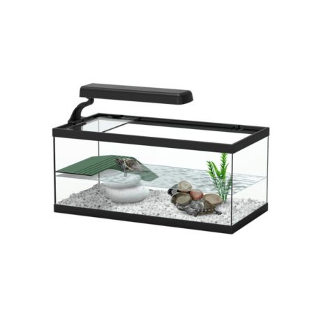 Terratlantis TORTUM Turtle Tank