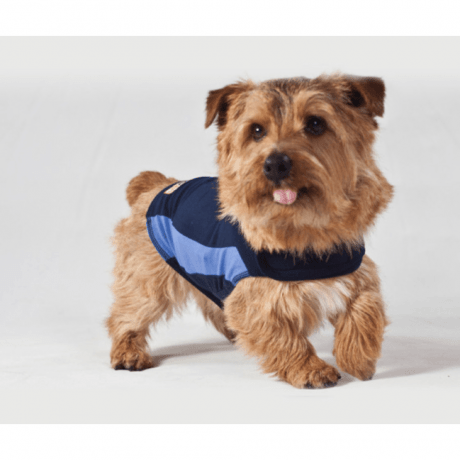 ThunderShirt Dog Blue