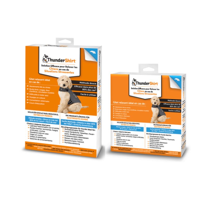 download - 2023-11-08T051750.116 (1)