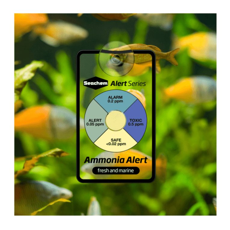 download - 2023-11-08T052140.244 (1)