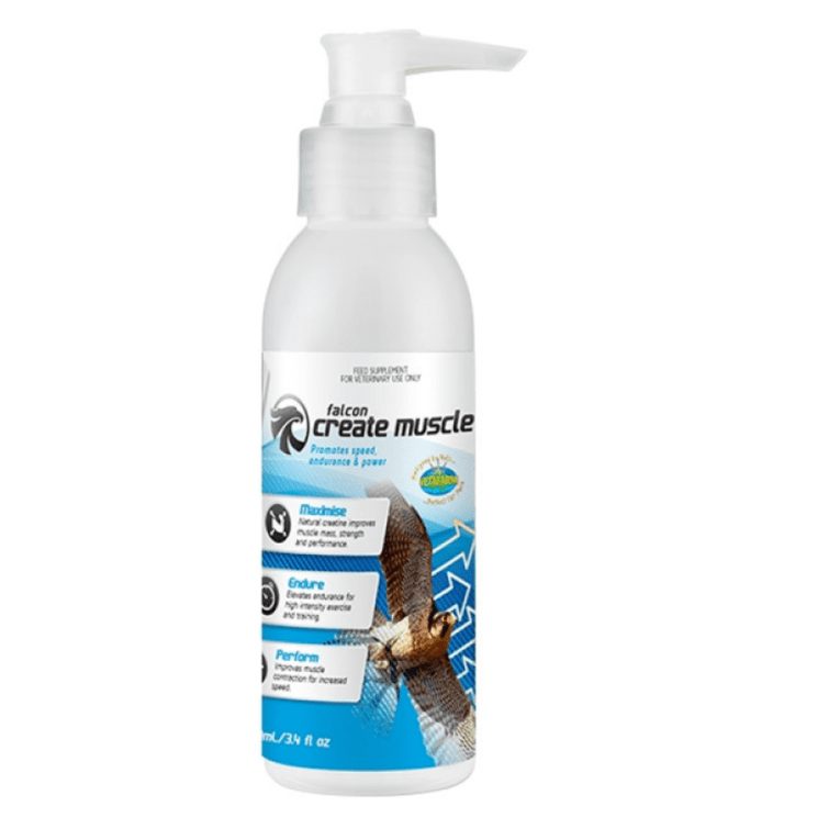 download - 2023-11-08T061217.565 (1)