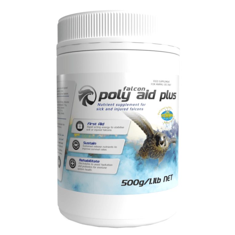 download - 2023-11-08T063310.592 (1)