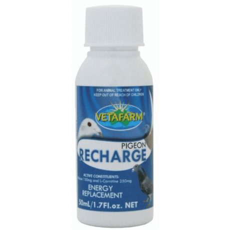 Vetafarm Pigeon Recharge 50ml