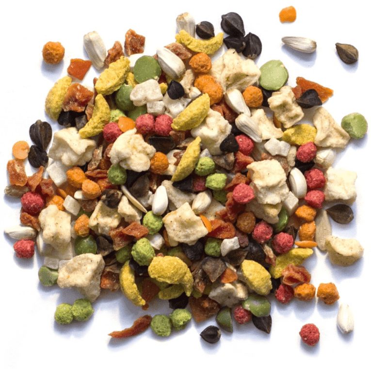 download - 2023-11-09T191523.303 (1)