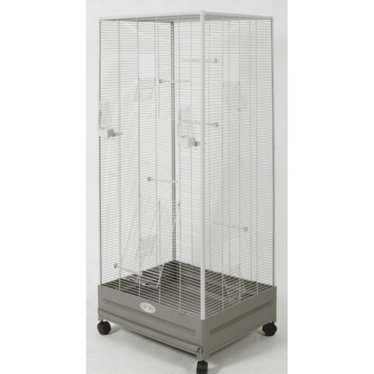 download - 2023-11-10T013308.566 (1)