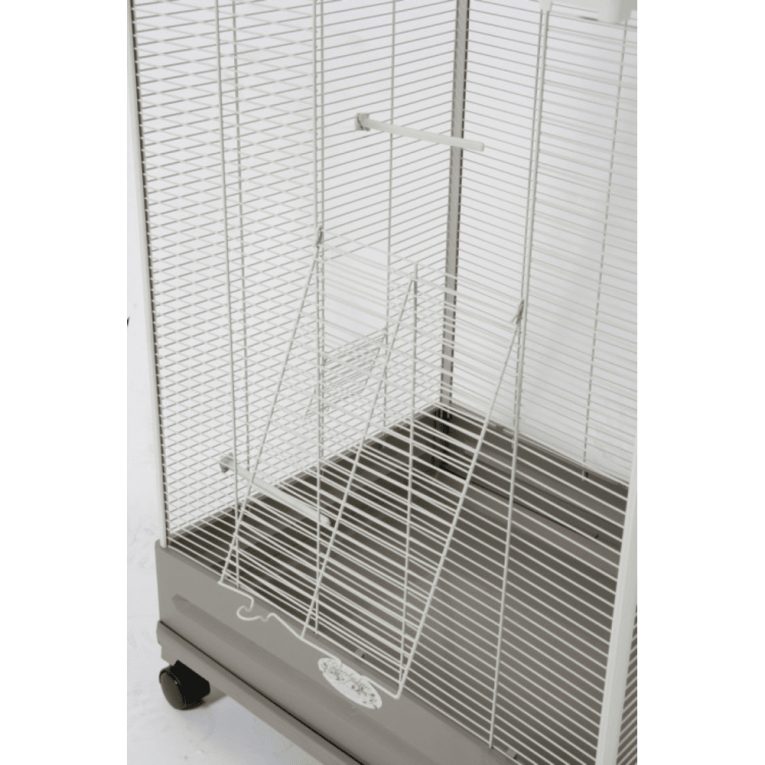 download - 2023-11-10T013319.468 (1)