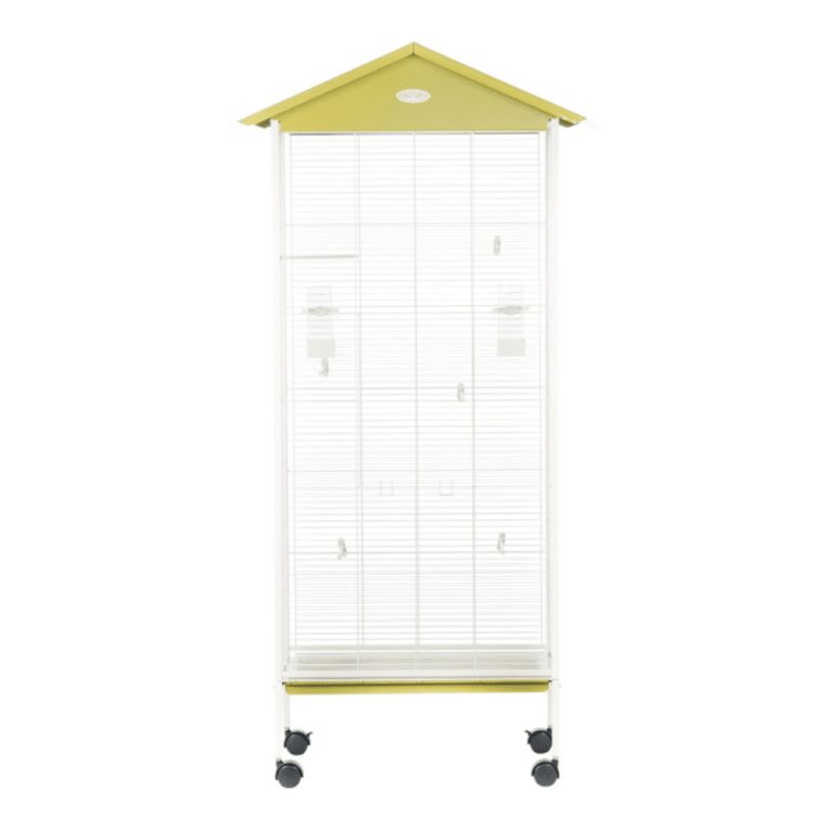 download - 2023-11-10T014023.098 (1)