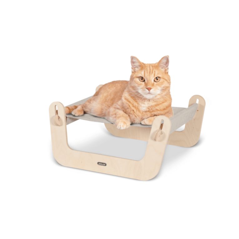 download - 2023-11-10T044821.687 (1)