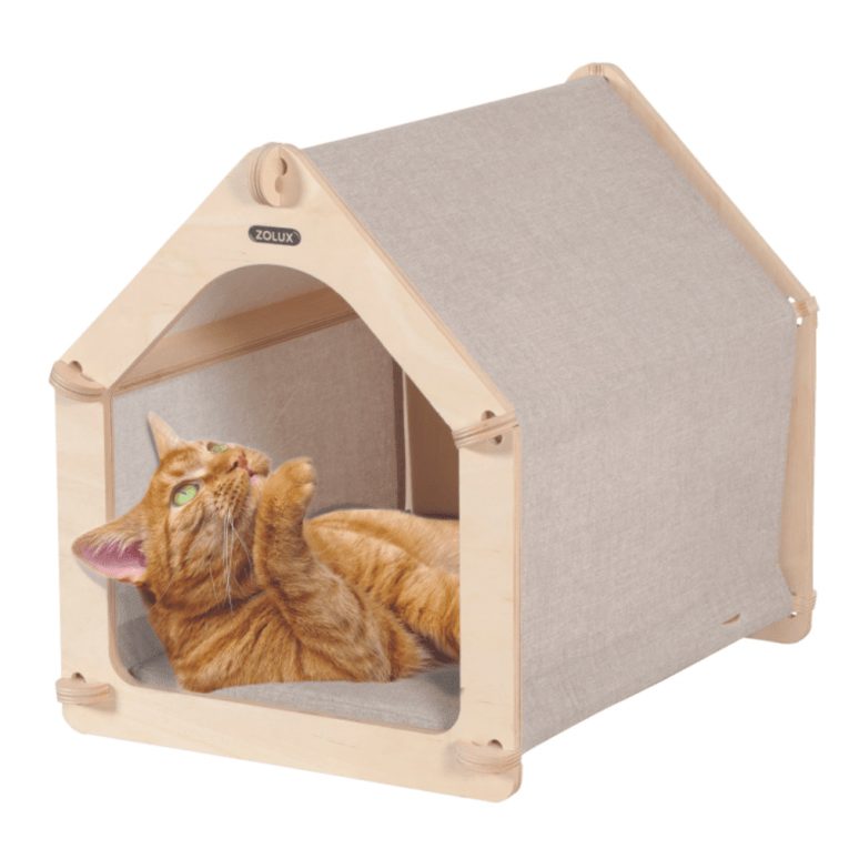 download - 2023-11-10T045313.171 (1)